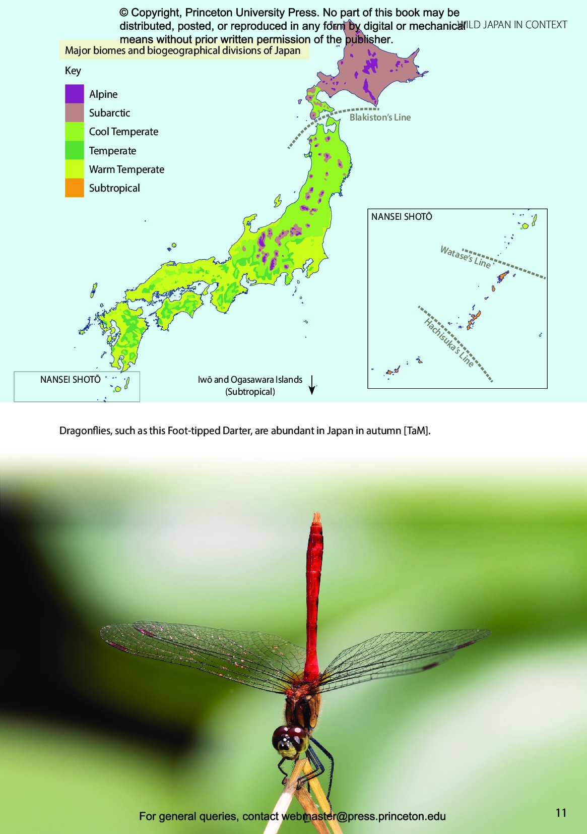 japan. the natural history of an asian archipelago
