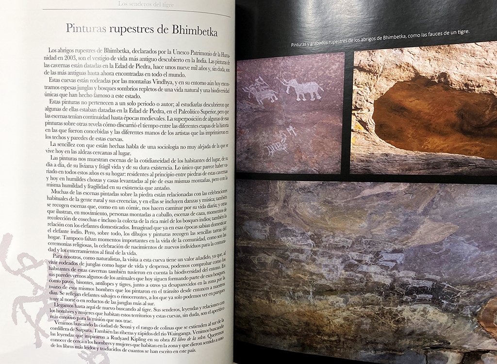 los senderos del tigre. historias de tigres y humanos