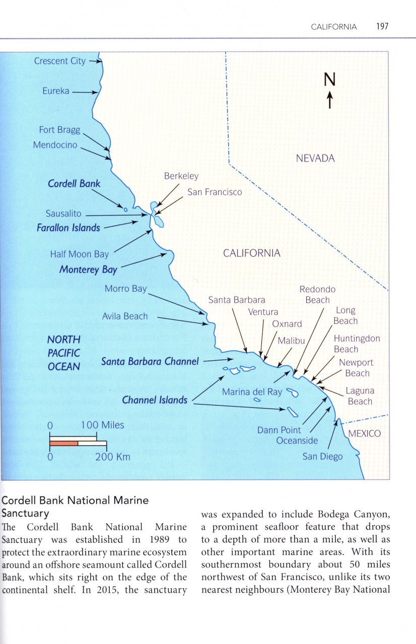 mark carwardine's guide to whale watching in north america