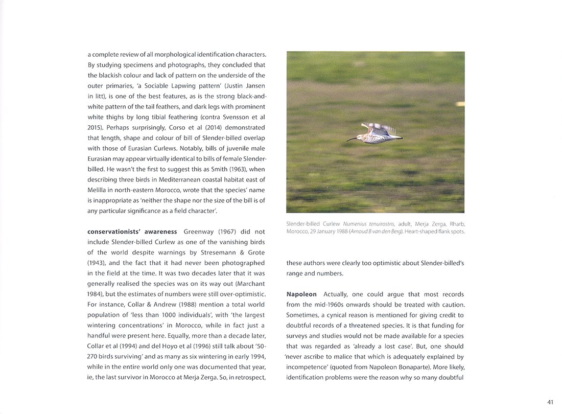morocco: sharing the birds. a sound approach guide to birds of the maghreb