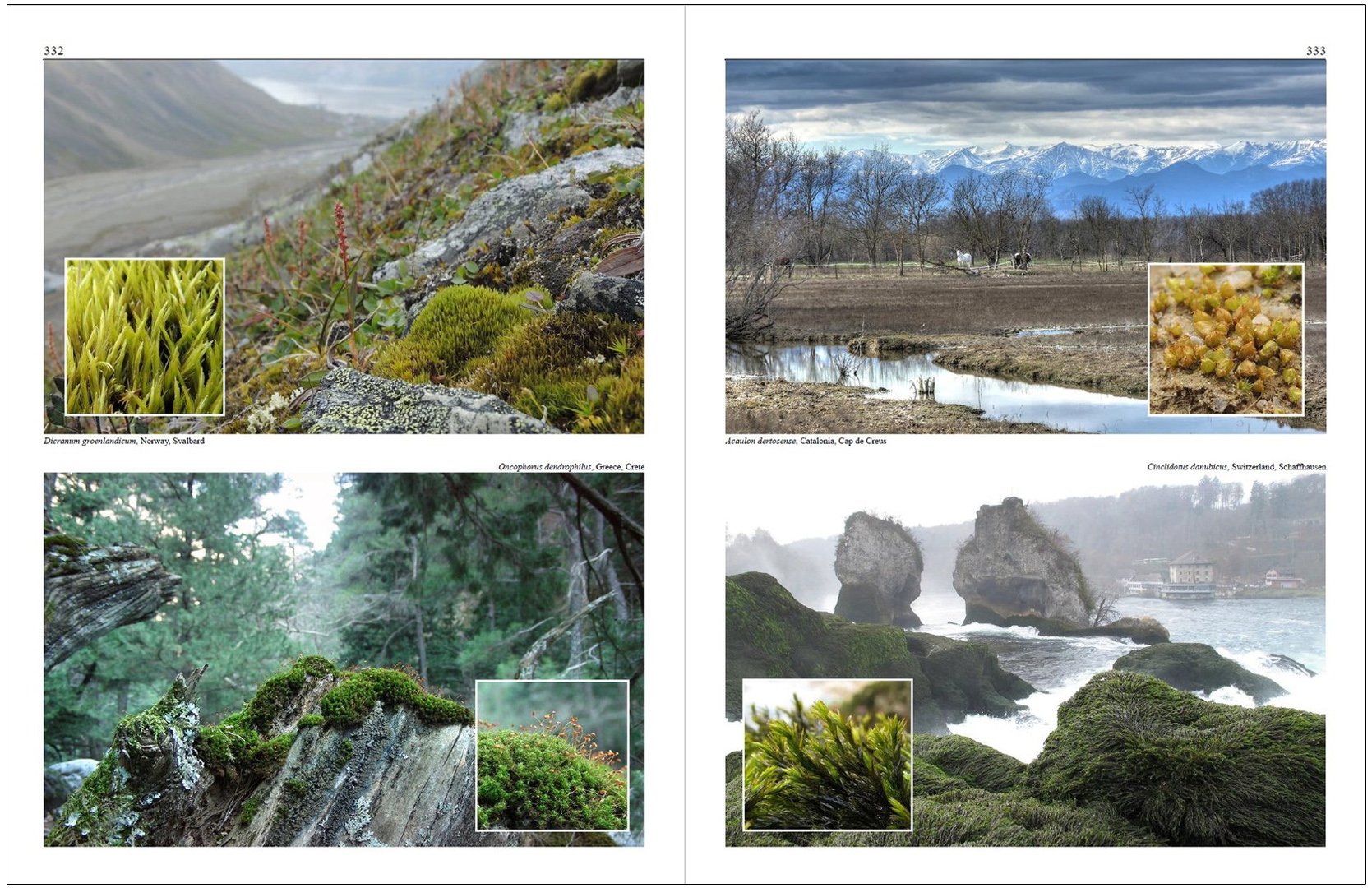 mosses of europe: a photographic flora 3 volume set