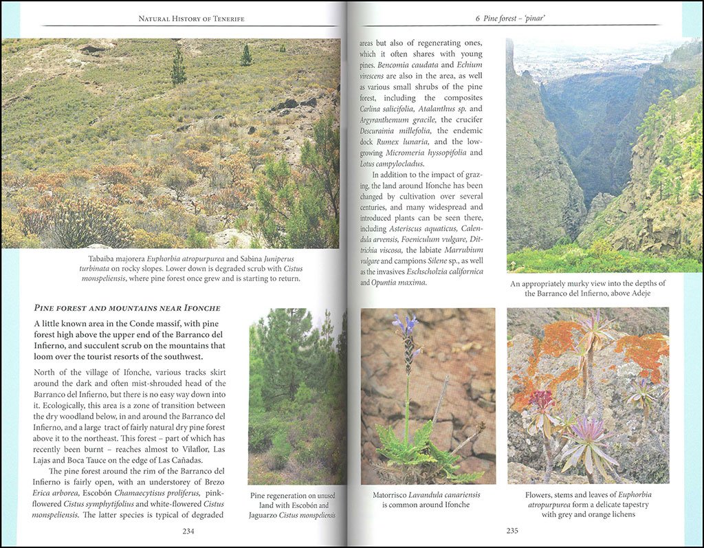 natural history of tenerife