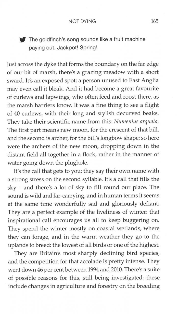 on the marsh: a year surrounded by wildness and wet