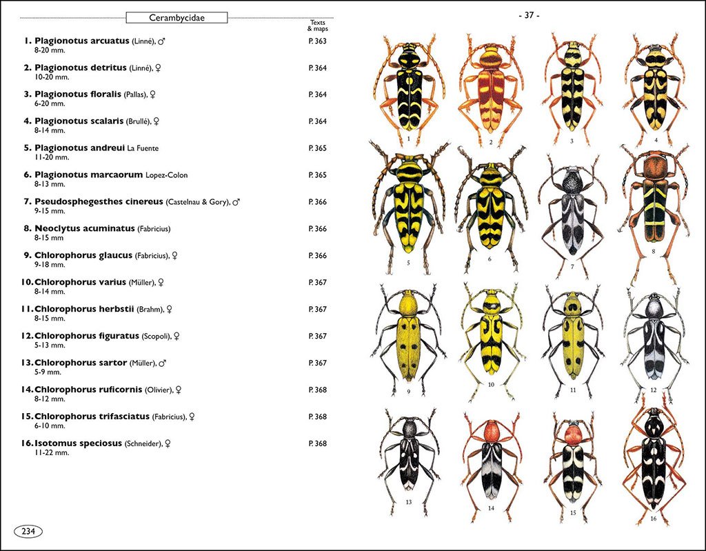 phytophagous beetles of europe. volume 1- buprestidae, elateridae, cleridae, cerambycidae