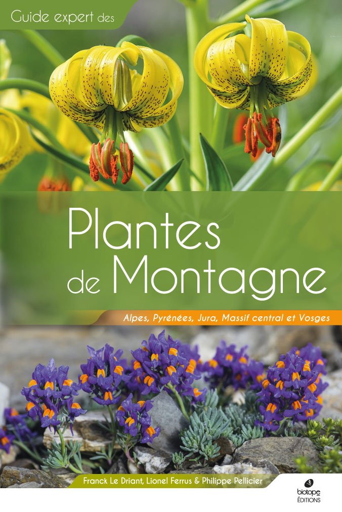 plantes de montagne