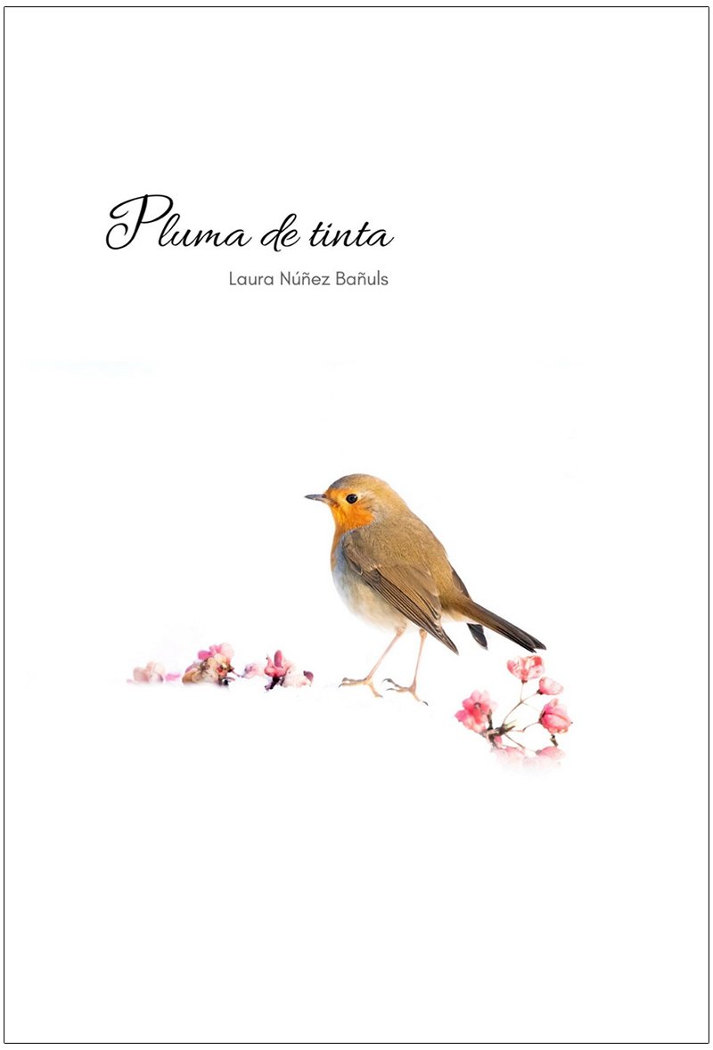 pluma de tinta