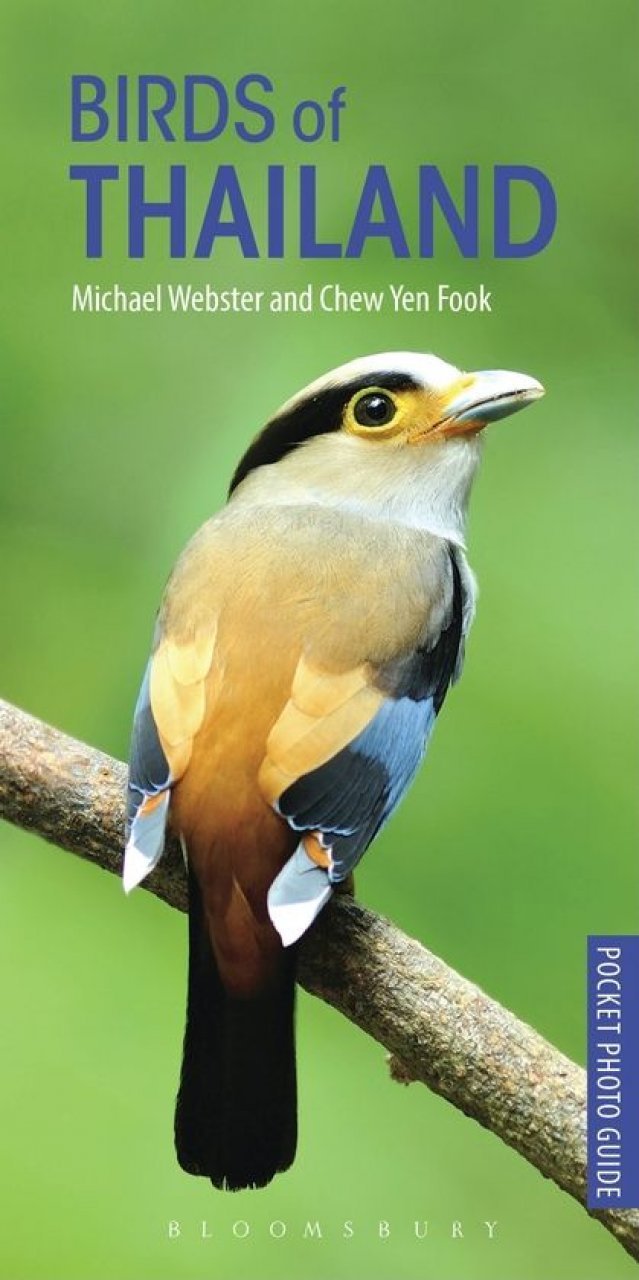 pocket photo guide to the birds of thailand