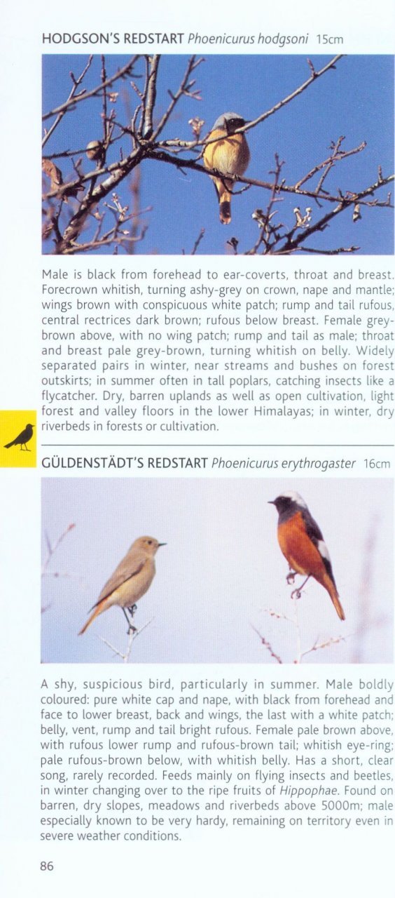 pocket photo guide to the birds of the himalayas