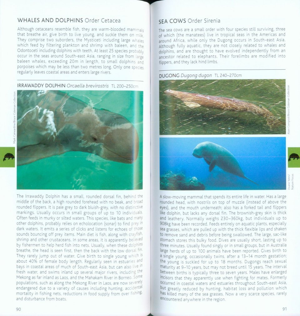 pocket photo guide to the mammals of south-east asia