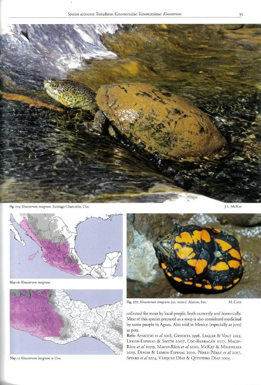 reptiles of oaxaca. turtles, crocodiles, lizards and snakes of mexico's most biodiverse state