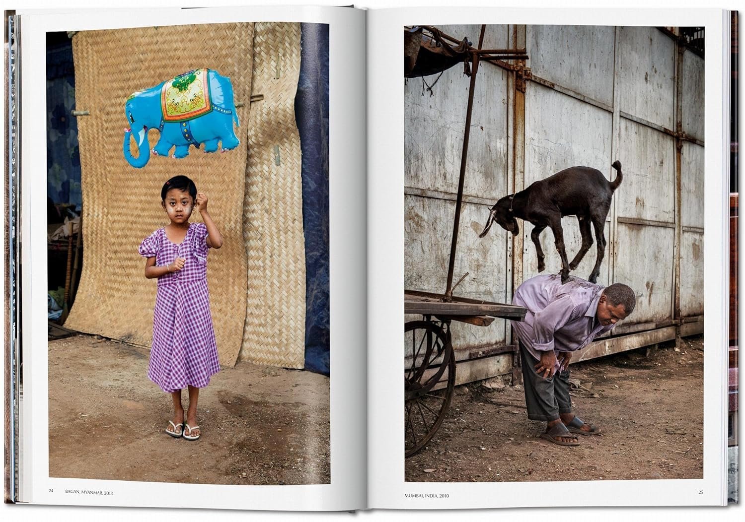 steve mc curry. animals
