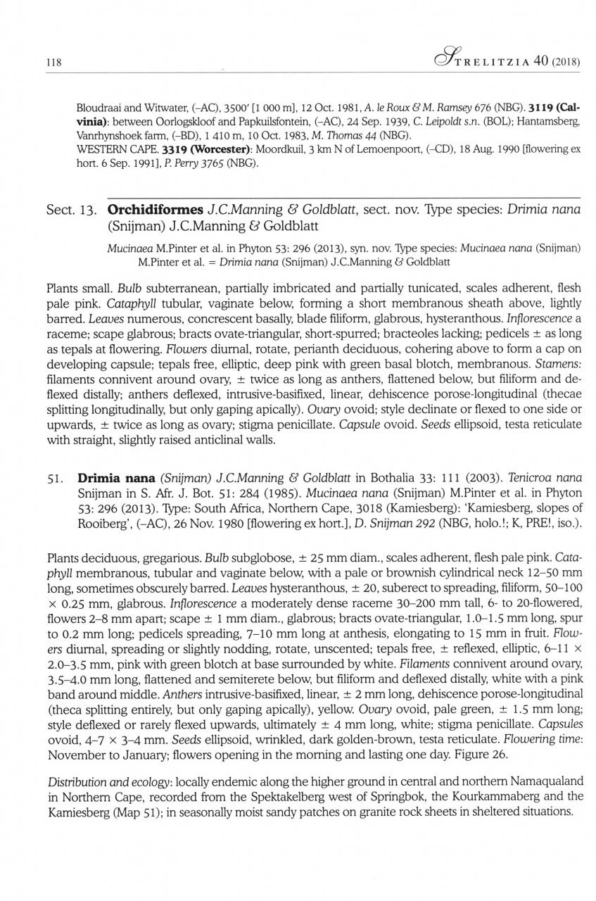 systematics of drimia, sl. (hyacinthacea: urgineoideae) of southern africa