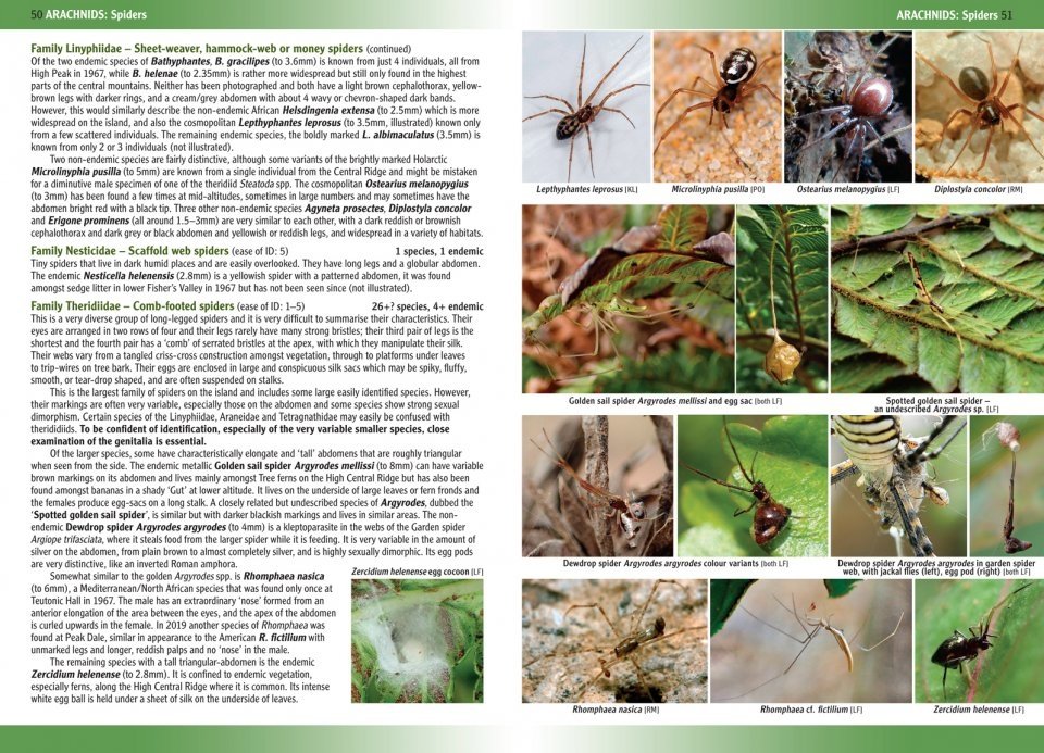 terrestrial and freshwater invertebrates of st. helena