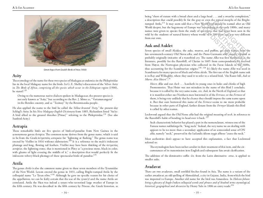the bird name book