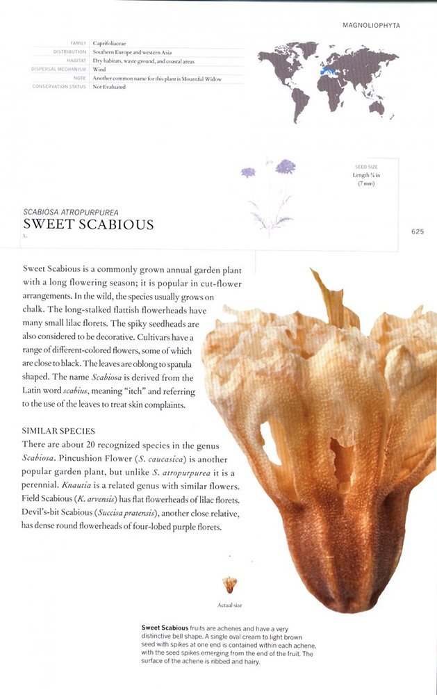 the book of seeds. a lifesize guide to six hundred species from around the world