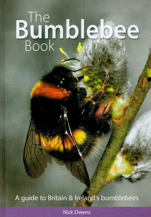the bumblebee book. a guide to britain & ireland's bumblebees