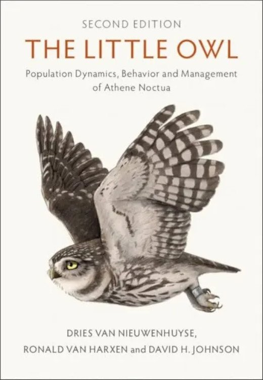 the little owl. population dynamics, behavior and management of athene noctua