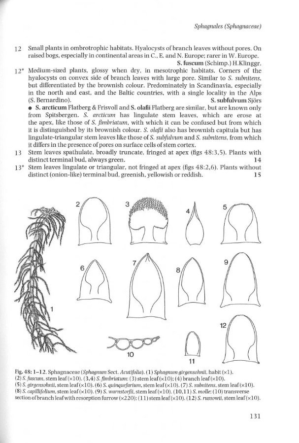 the liverworts, mosses and ferns of europe