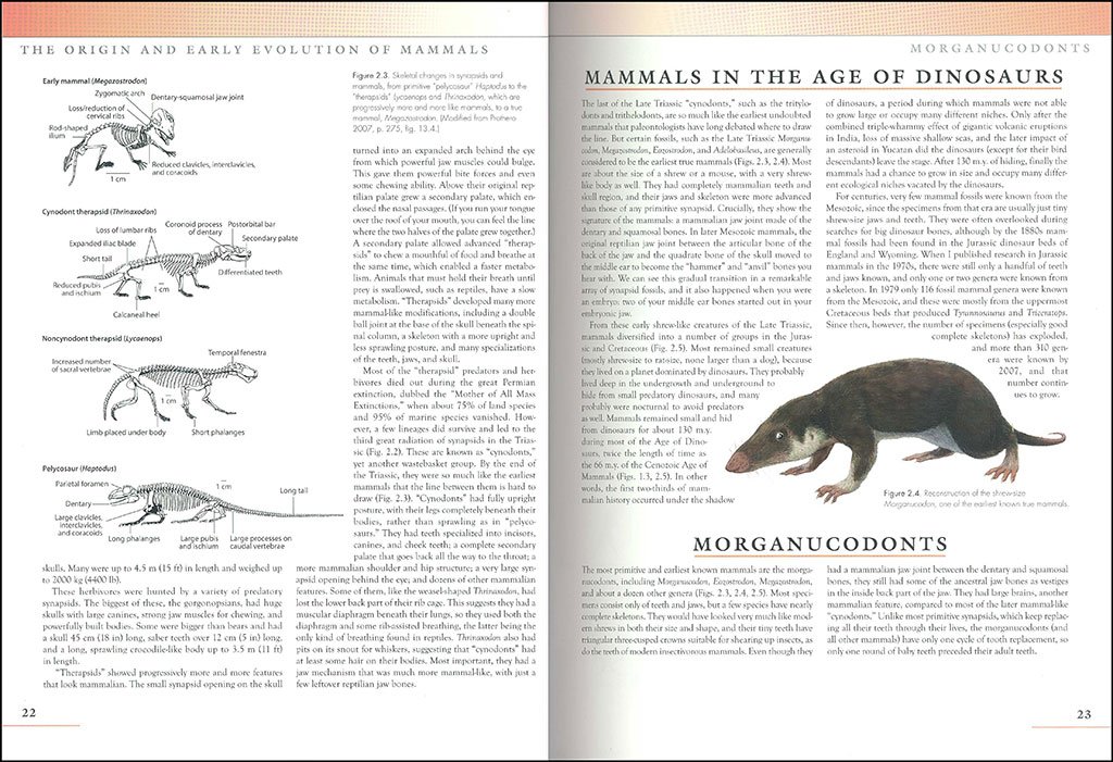 the princeton field guide to prehistoric mammals