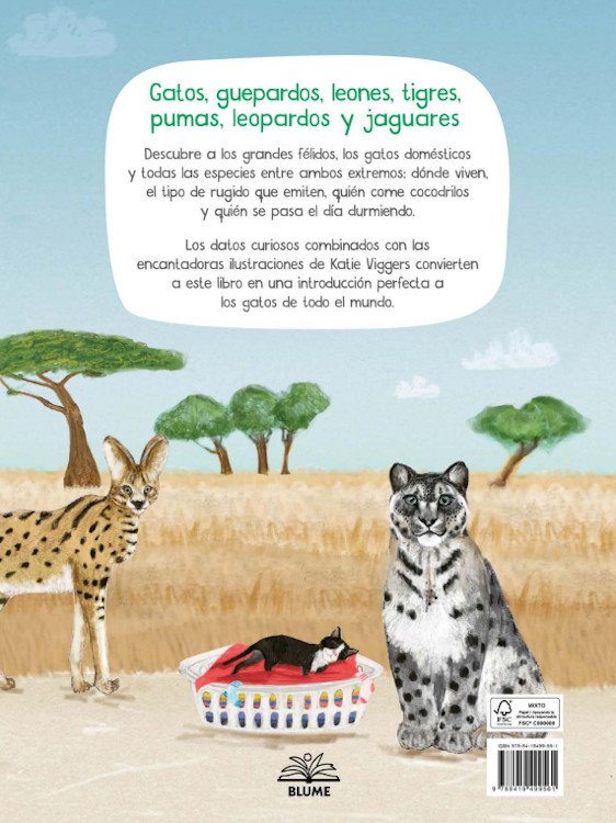 un libro de gatos