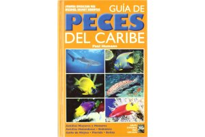 peixos de centreamrica i amrica del sud