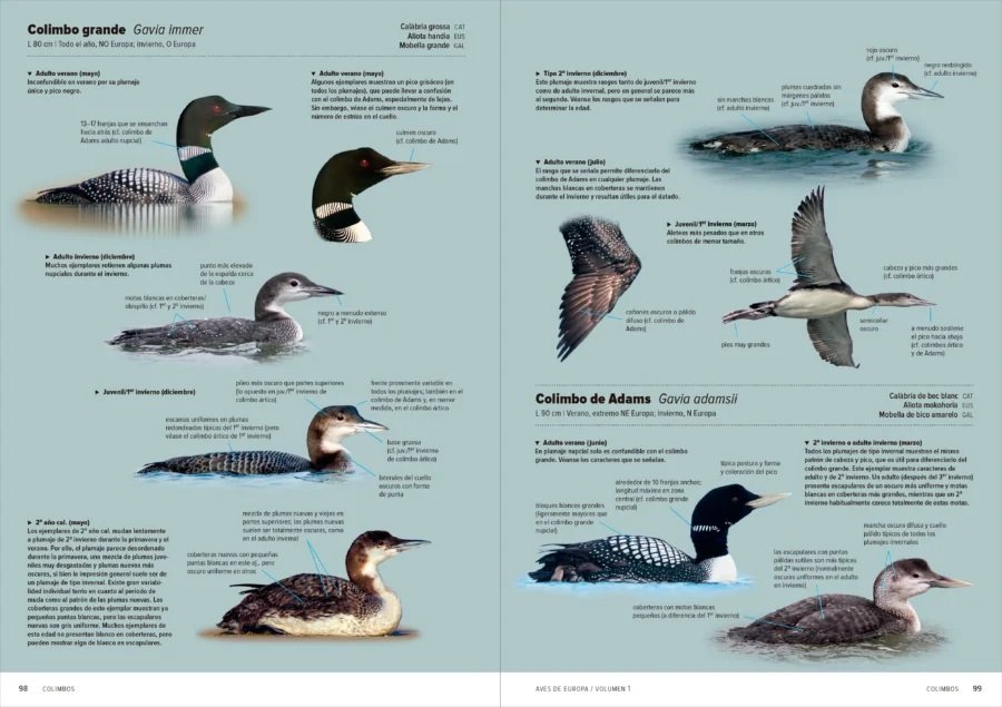 aves de europa. identificacin de todas las especies y plumajes (volumen 1 y 2)