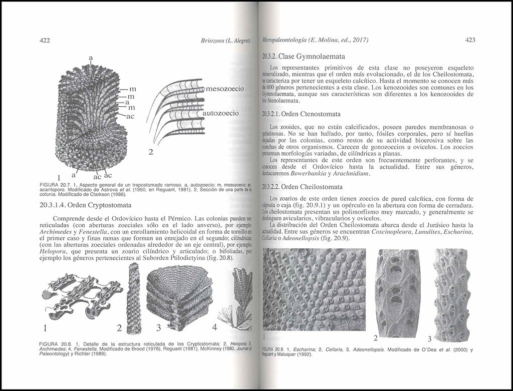 micropaleontologa