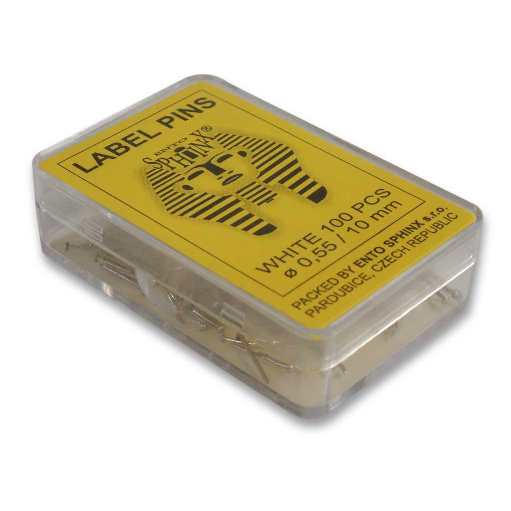 agujas para etiquetas entomolgicas 100 ud