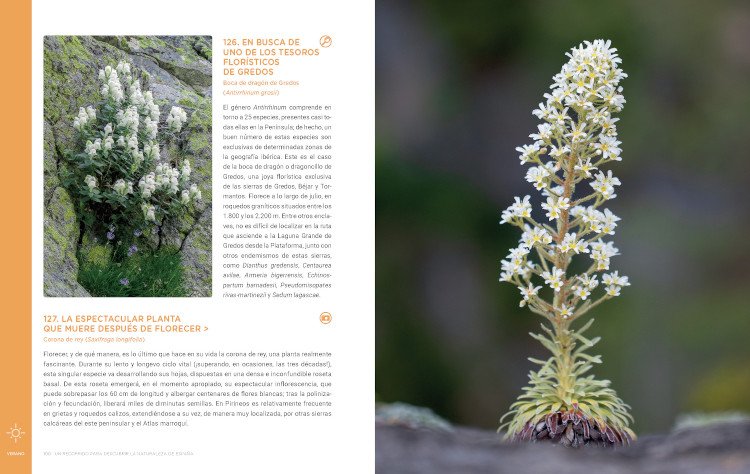 un recorrido para descubrir la naturaleza de espaa. 365 propuestas imprescindibles