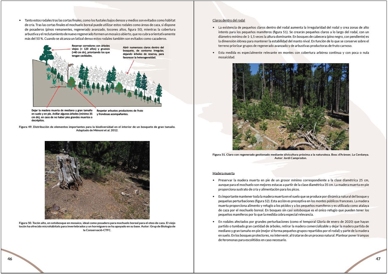 manual para la gestin del hbitat del mochuelo boreal