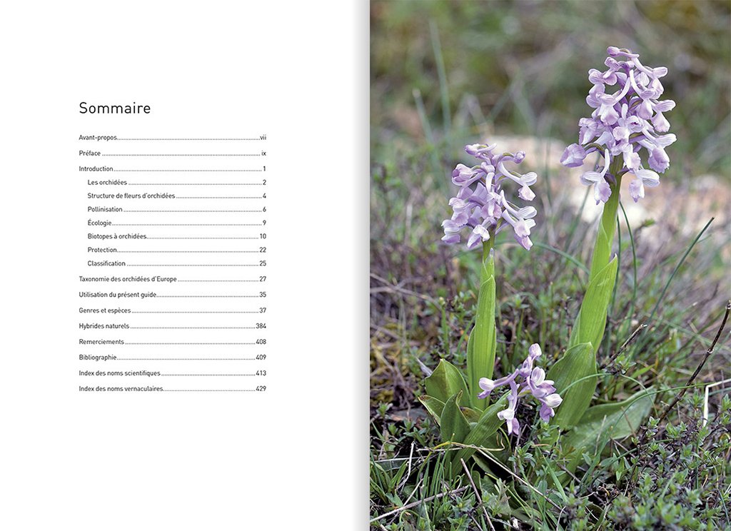 orchides d'europe & de mditerrane