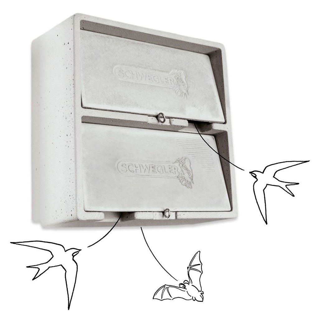 1mf caja nido doble para vencejos y murcilagos
