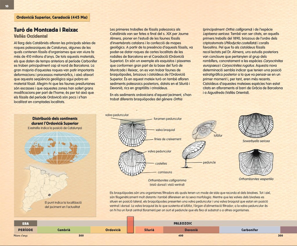 la catalunya prehistrica en 25 jaciments paleontolgics