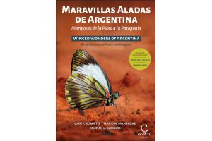 invertebrats de centreamrica i amrica del sud