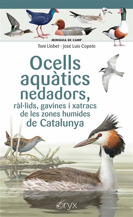 ocells aqutics nedadors, rllids, gavines i xatracs de les zones humides de catalunya. miniguia de camp