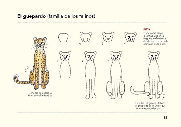 cmo son los animales y cmo dibujarlos