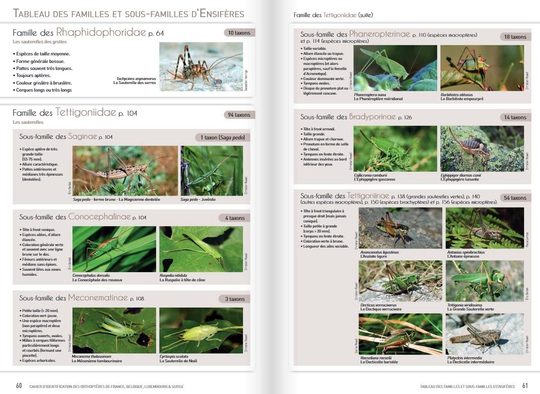 cahier d'identification des orthoptres de france, belgique, luxembourg et suisse