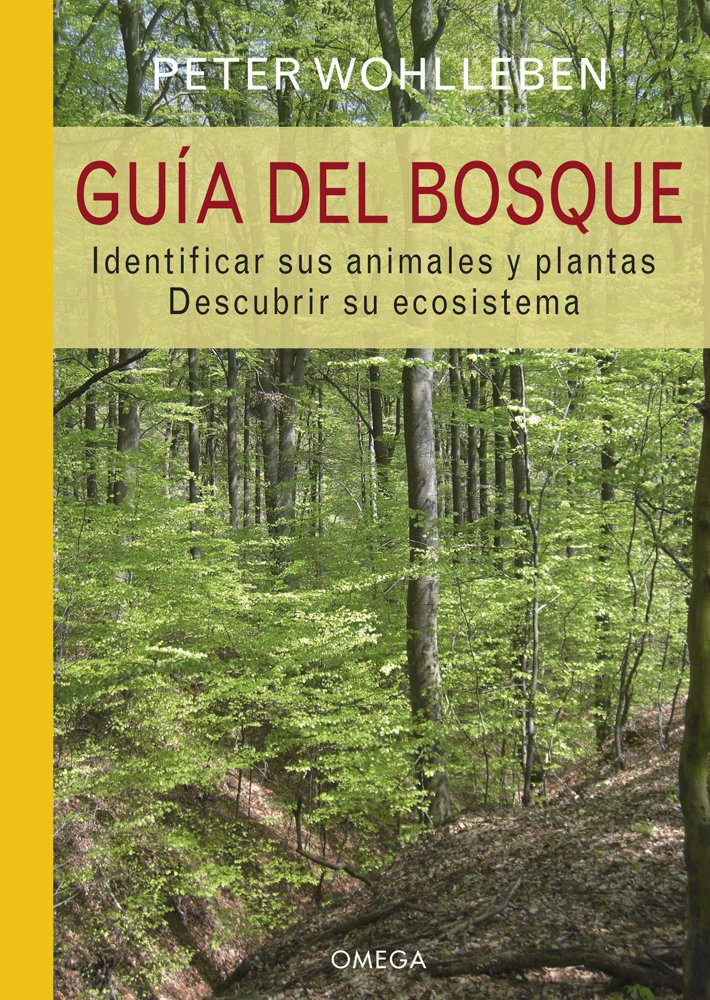 gua del bosque