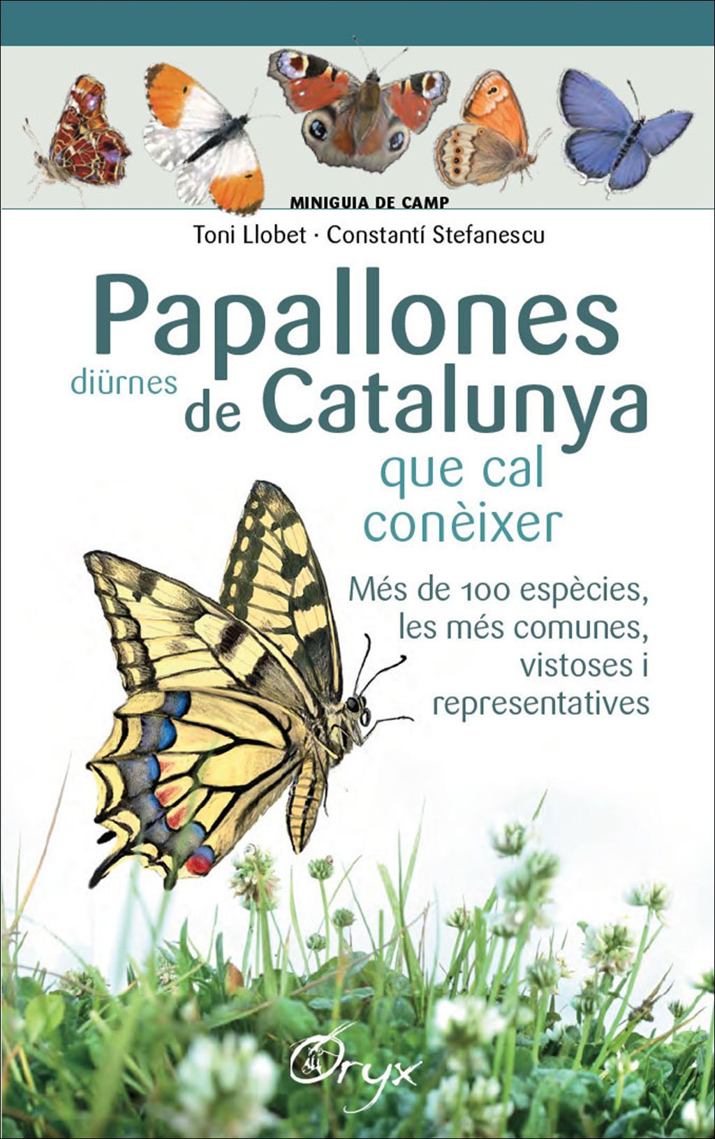 papallones dirnes de catalunya que cal conixer. miniguia de camp