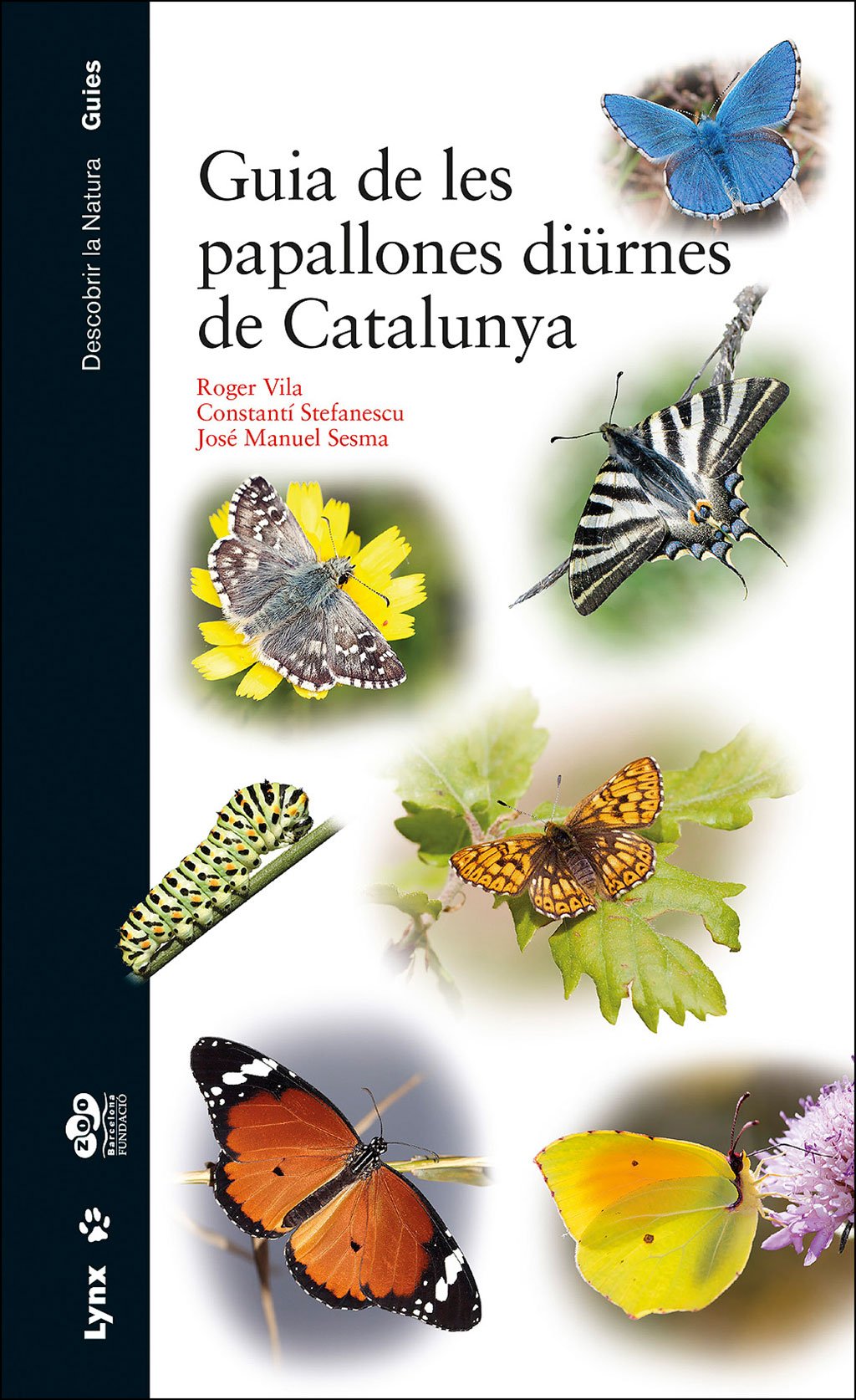 guia de les papallones dirnes de catalunya