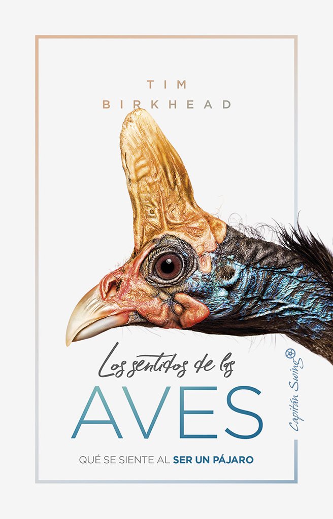 los sentidos de las aves. qu se siente al ser un pjaro