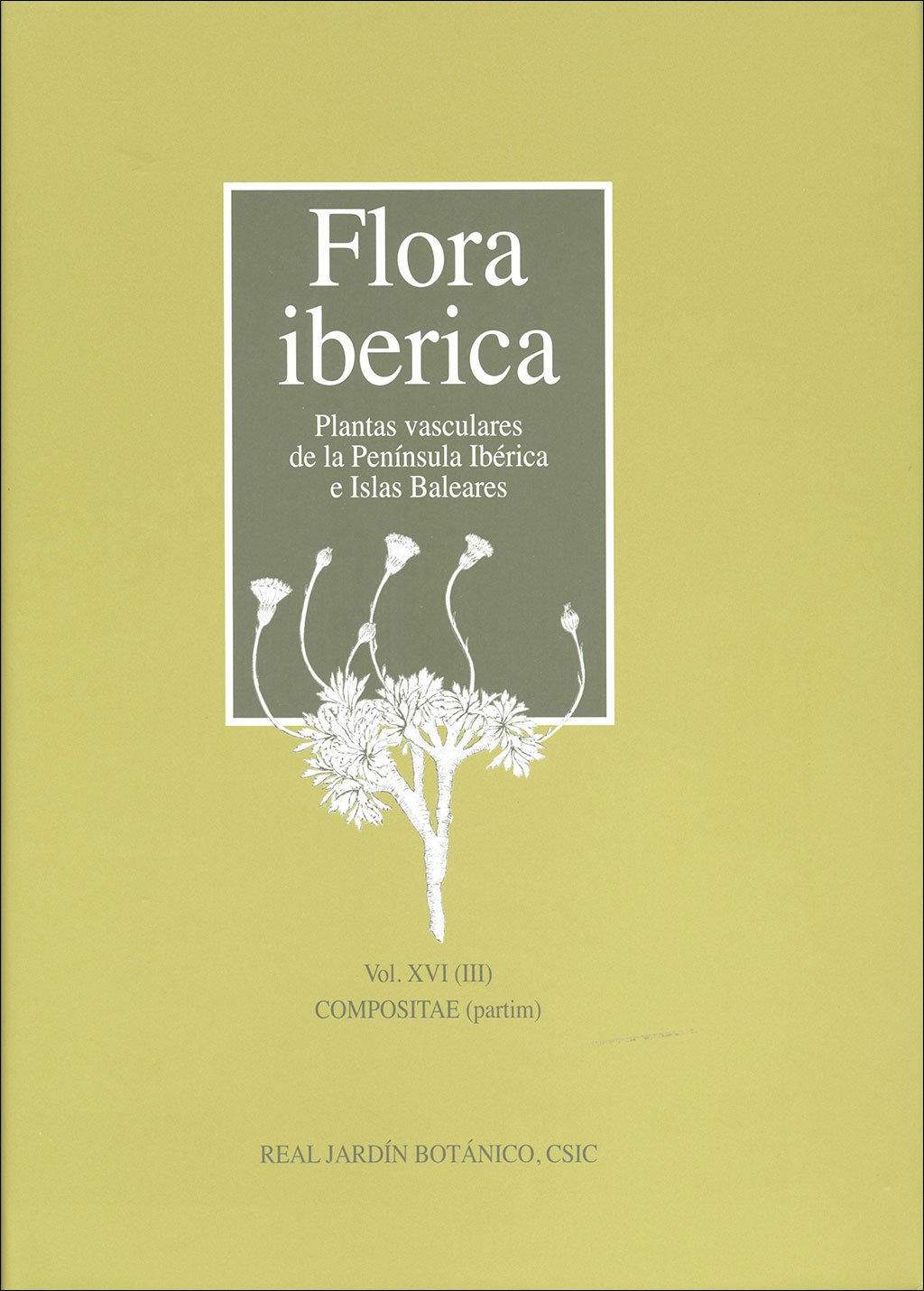 flora ibrica. vol. xvi (iii) compositae (partim)