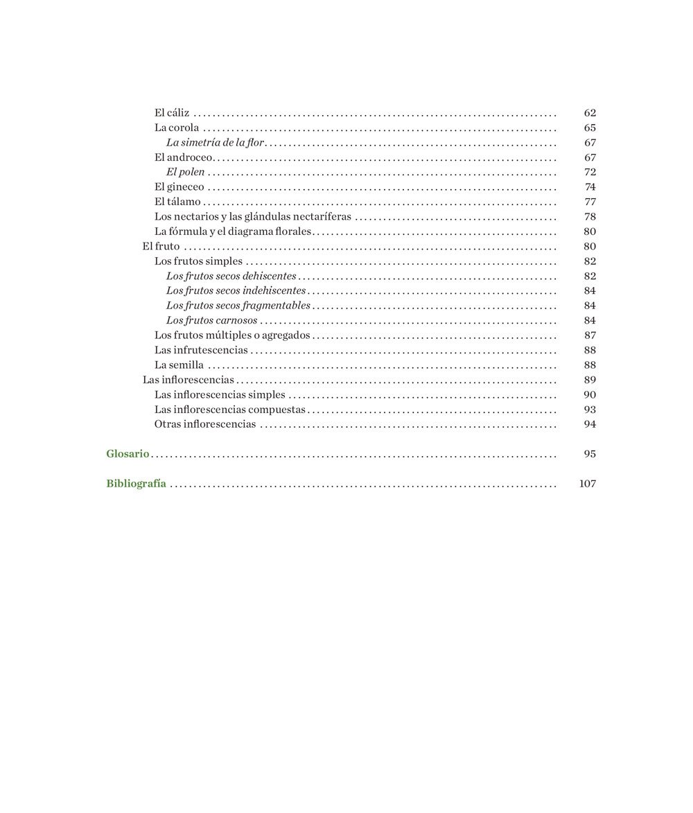 manual prctico de botnica. morfologa de las plantas vasculares