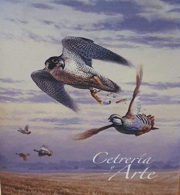 cetrera y arte