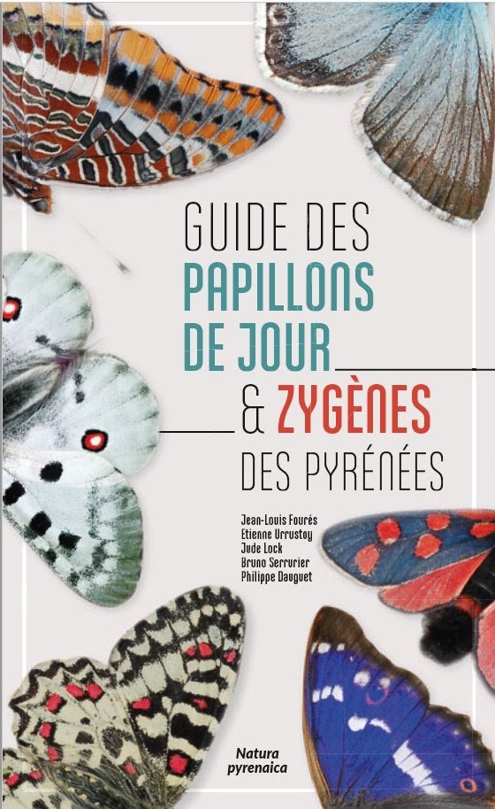 guide des papillons de jour & zygnes des pyrnes