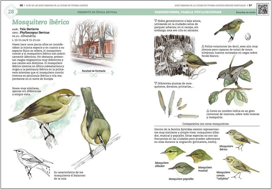 gua de aves urbanas de la ciudad de vitoria-gasteiz