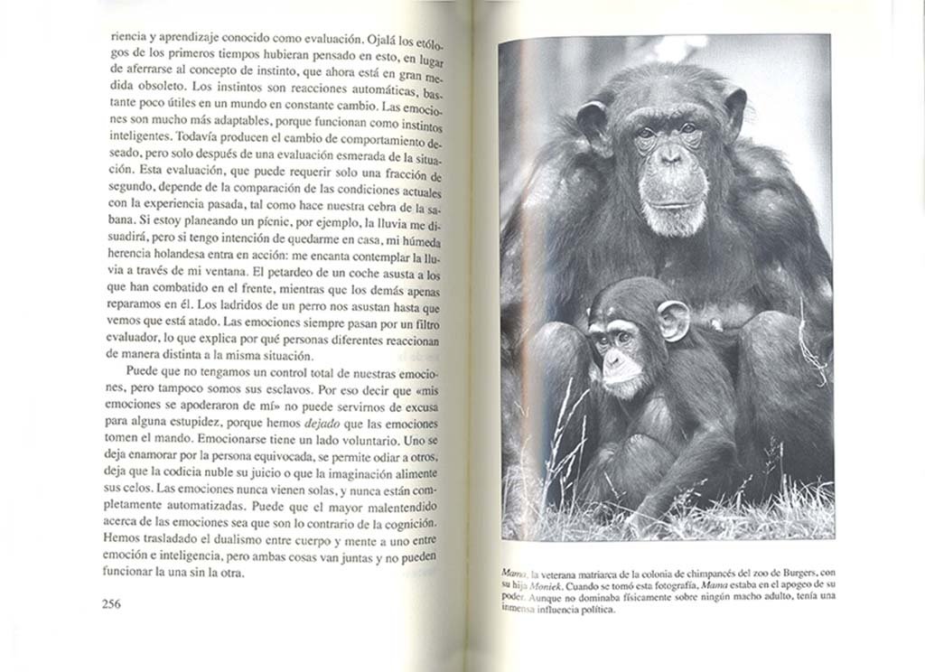 el ltimo abrazo. las emociones de los animales y lo que nos cuentan de nosotros