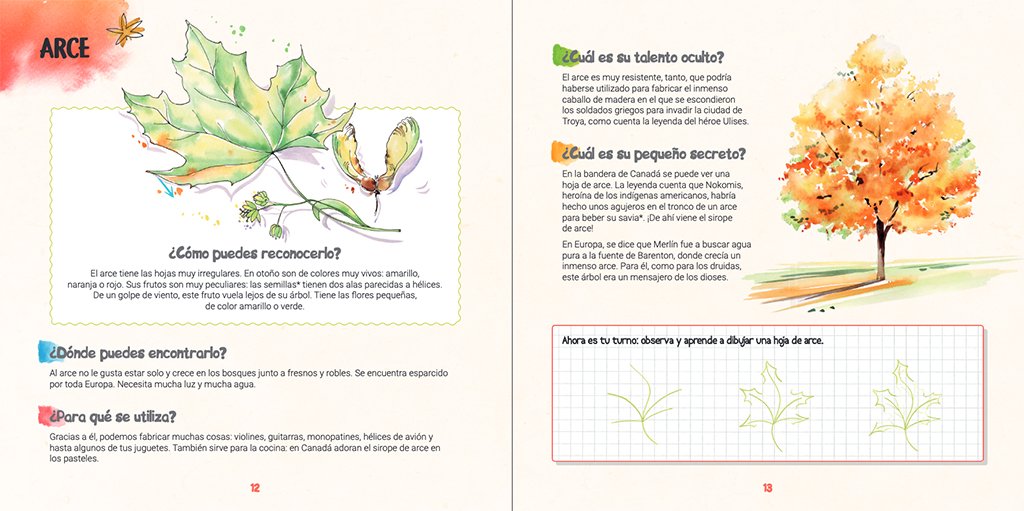 descubro los rboles y aprendo a reconocerlos