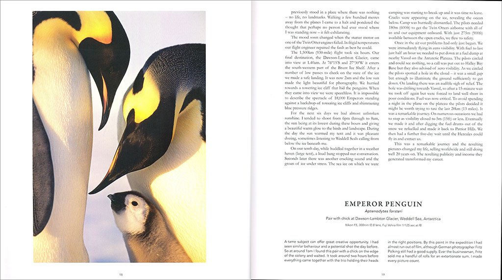 a bird photographer's diary