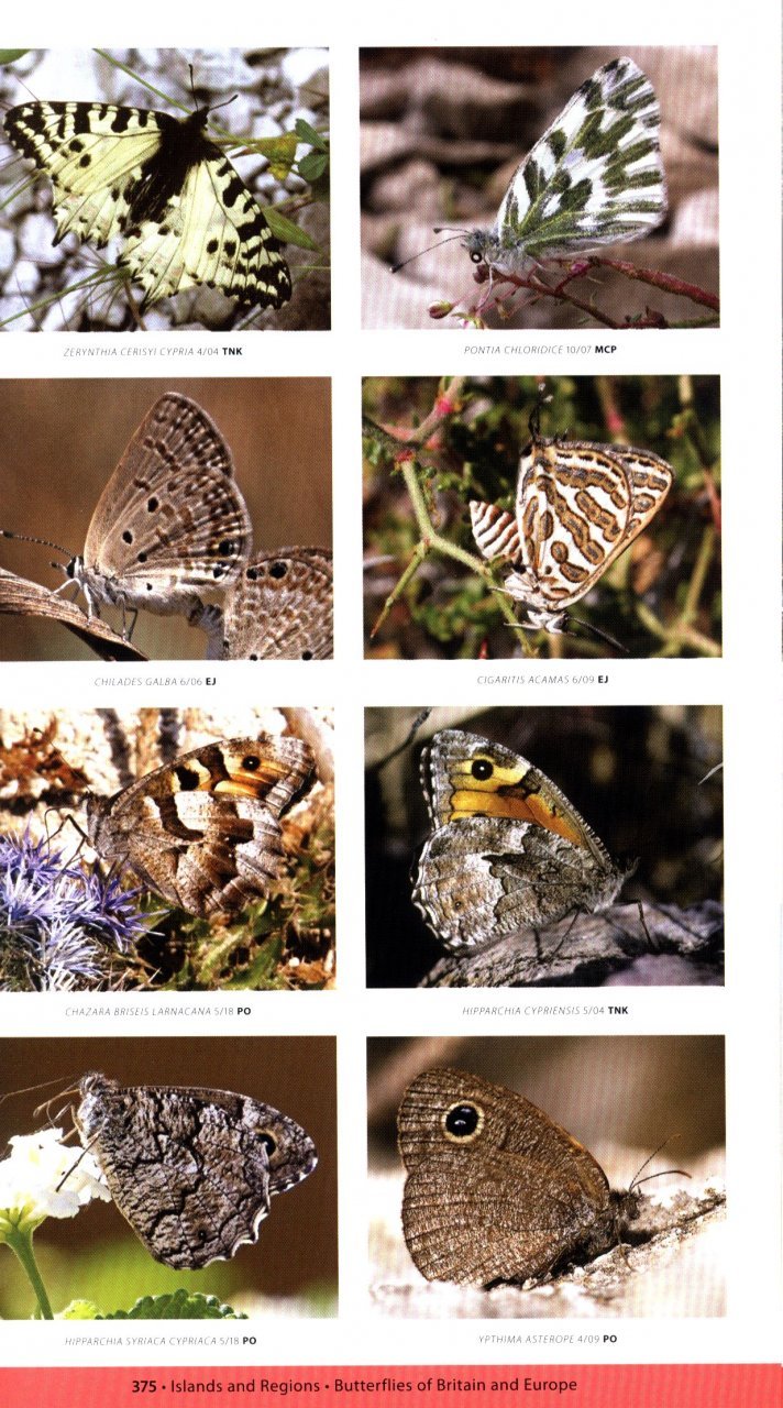 a naturalist's guide to the butterflies of britain and northern europe. 2 ed.